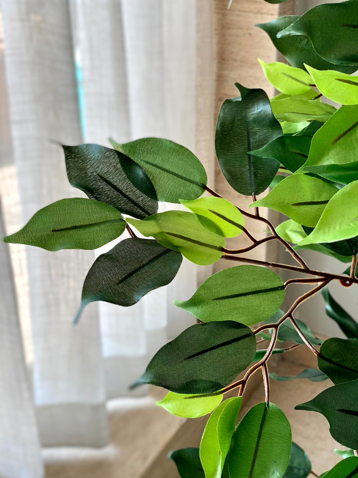 Artificial Wild Ficus Plant - 4 Feet