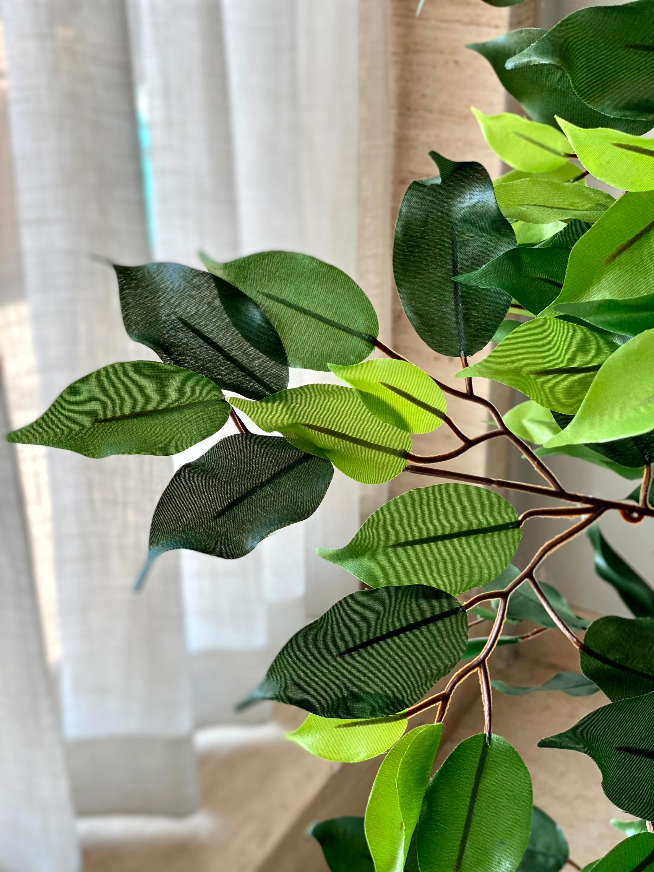 Artificial Wild Ficus Plant - 4 Feet