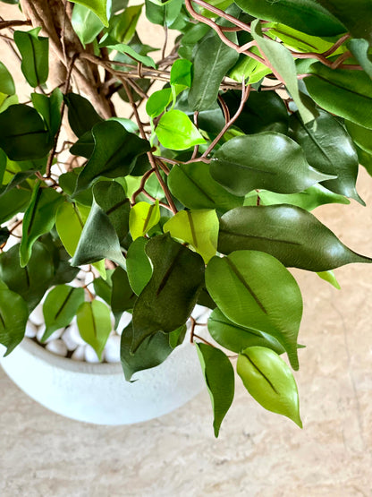 Artificial Wild Ficus Plant - 4 Feet