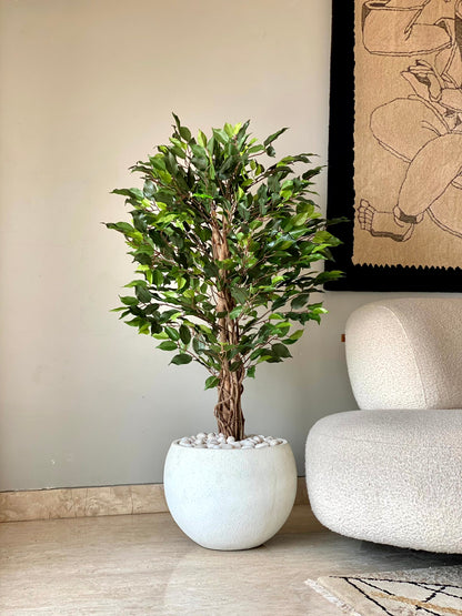 Artificial Wild Ficus Plant - 4 Feet