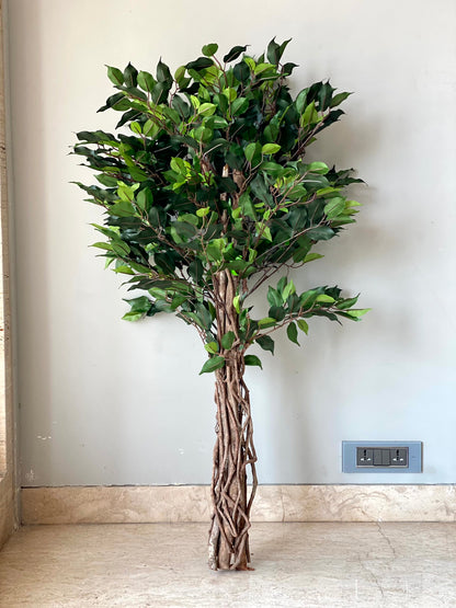 Artificial Wild Ficus Plant - 4 Feet