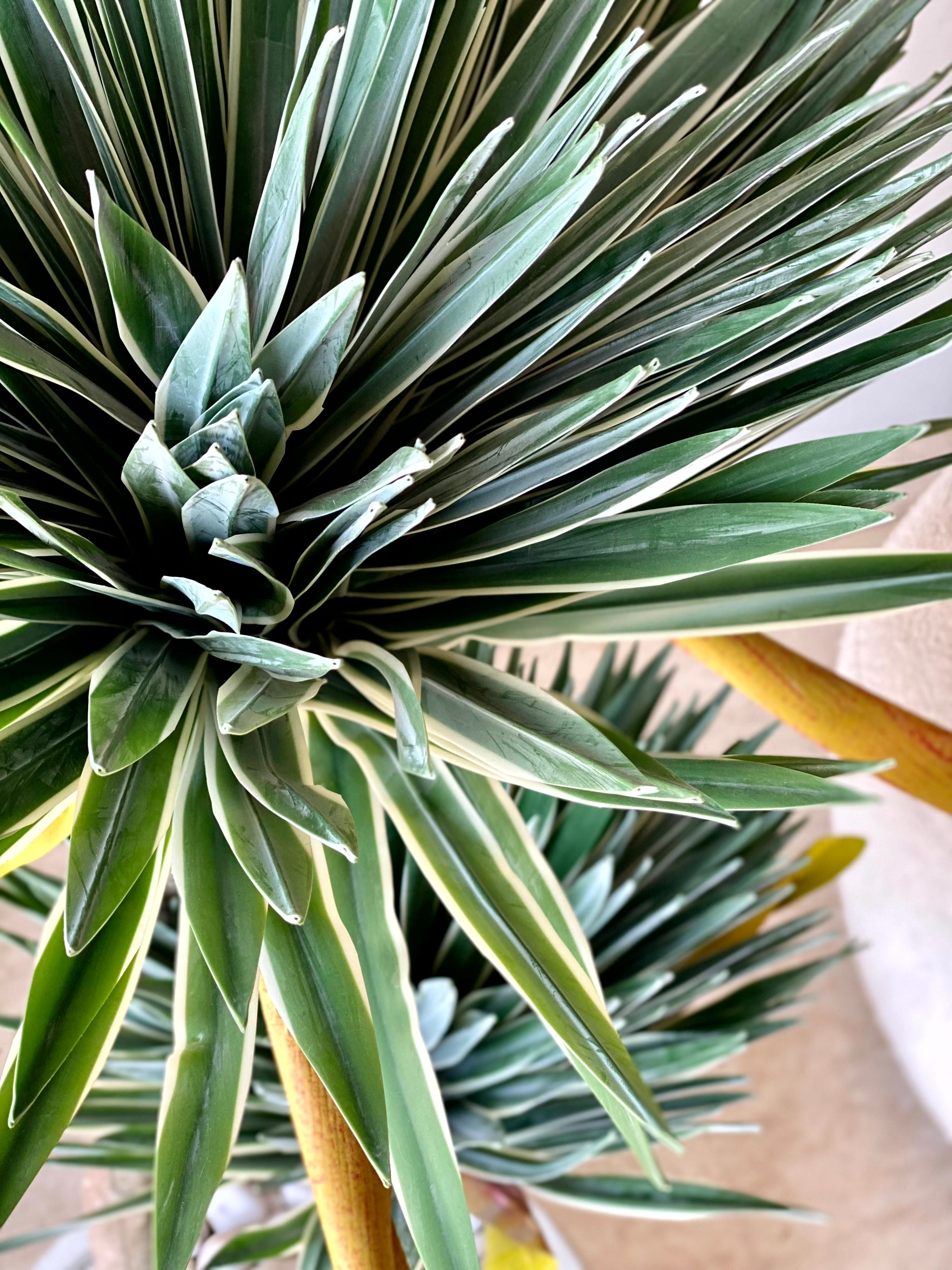 Artificial Desert Yucca Plant - 4 Feet