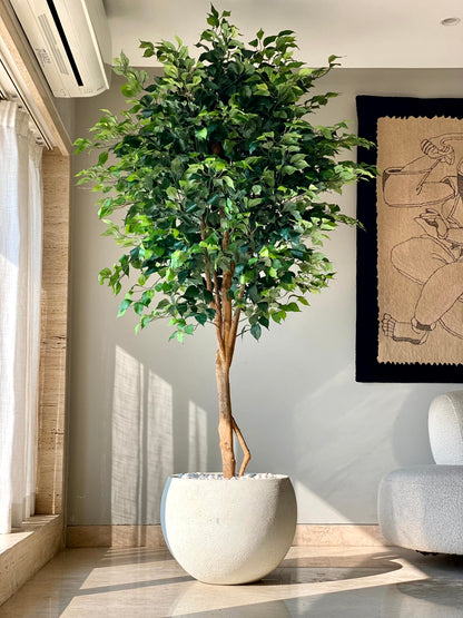 Artificial Grand Ficus Plant - 7.5 Feet