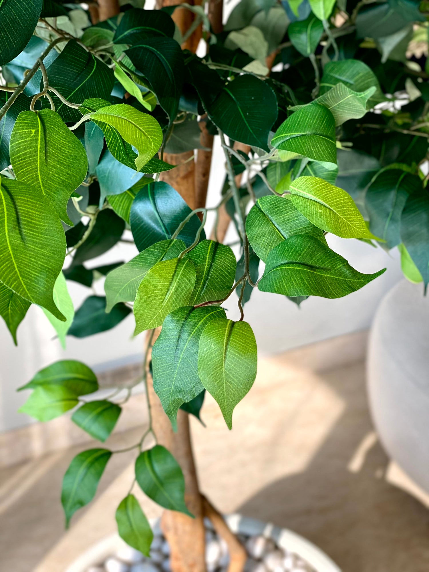 Artificial Grand Ficus Plant - 7.5 Feet