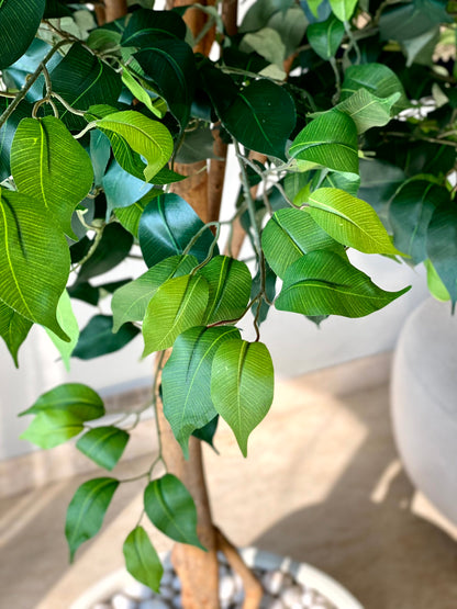 Artificial Grand Ficus Plant - 7.5 Feet