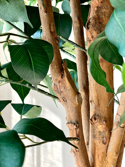 Artificial Grand Ficus Plant - 7.5 Feet