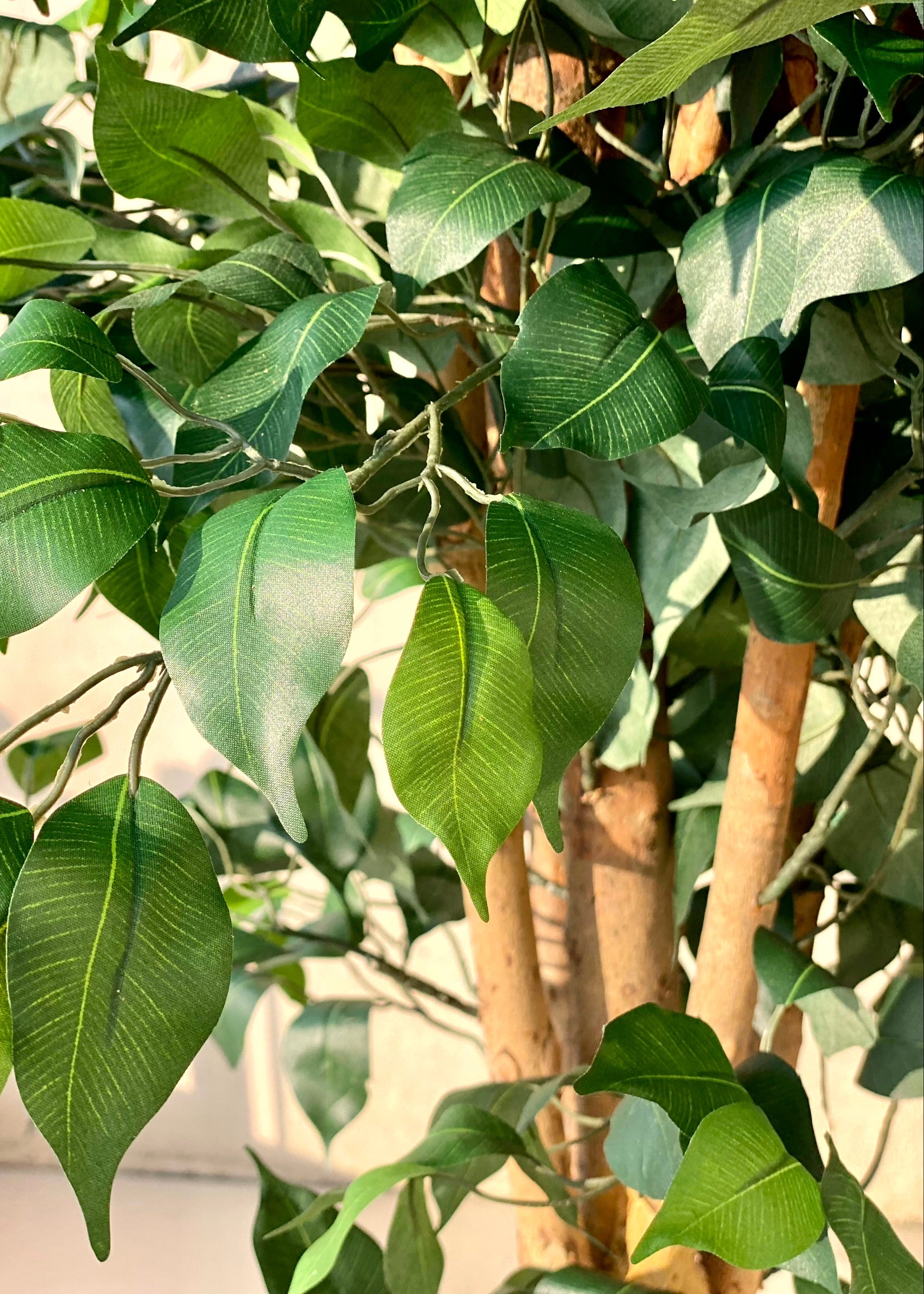 Artificial Grand Ficus Plant - 8.5 Feet