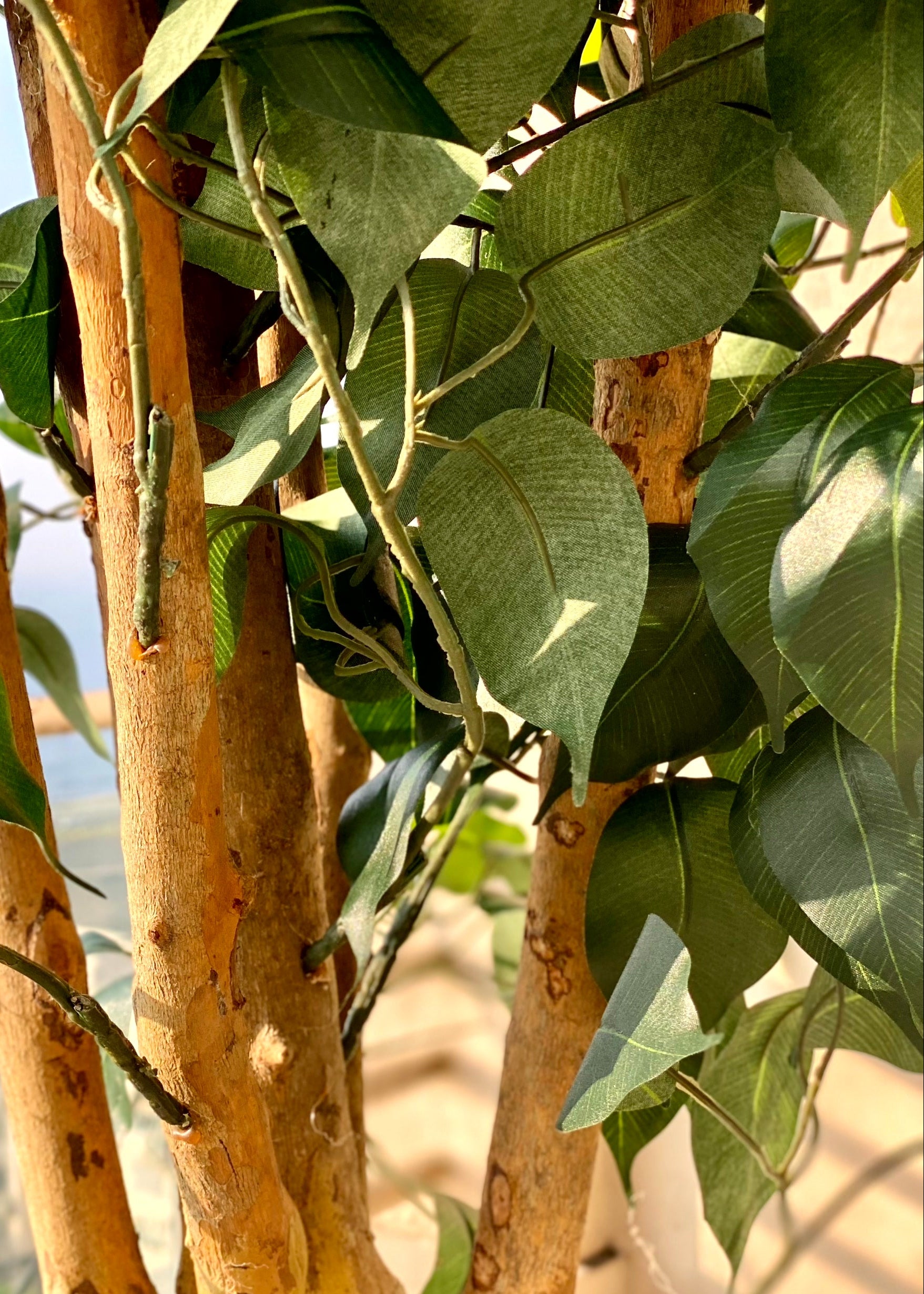 Artificial Grand Ficus Plant - 8.5 Feet