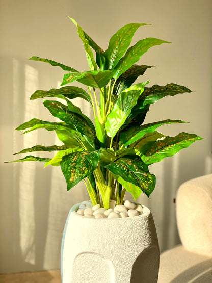 Artificial Alocasia Allure Plant