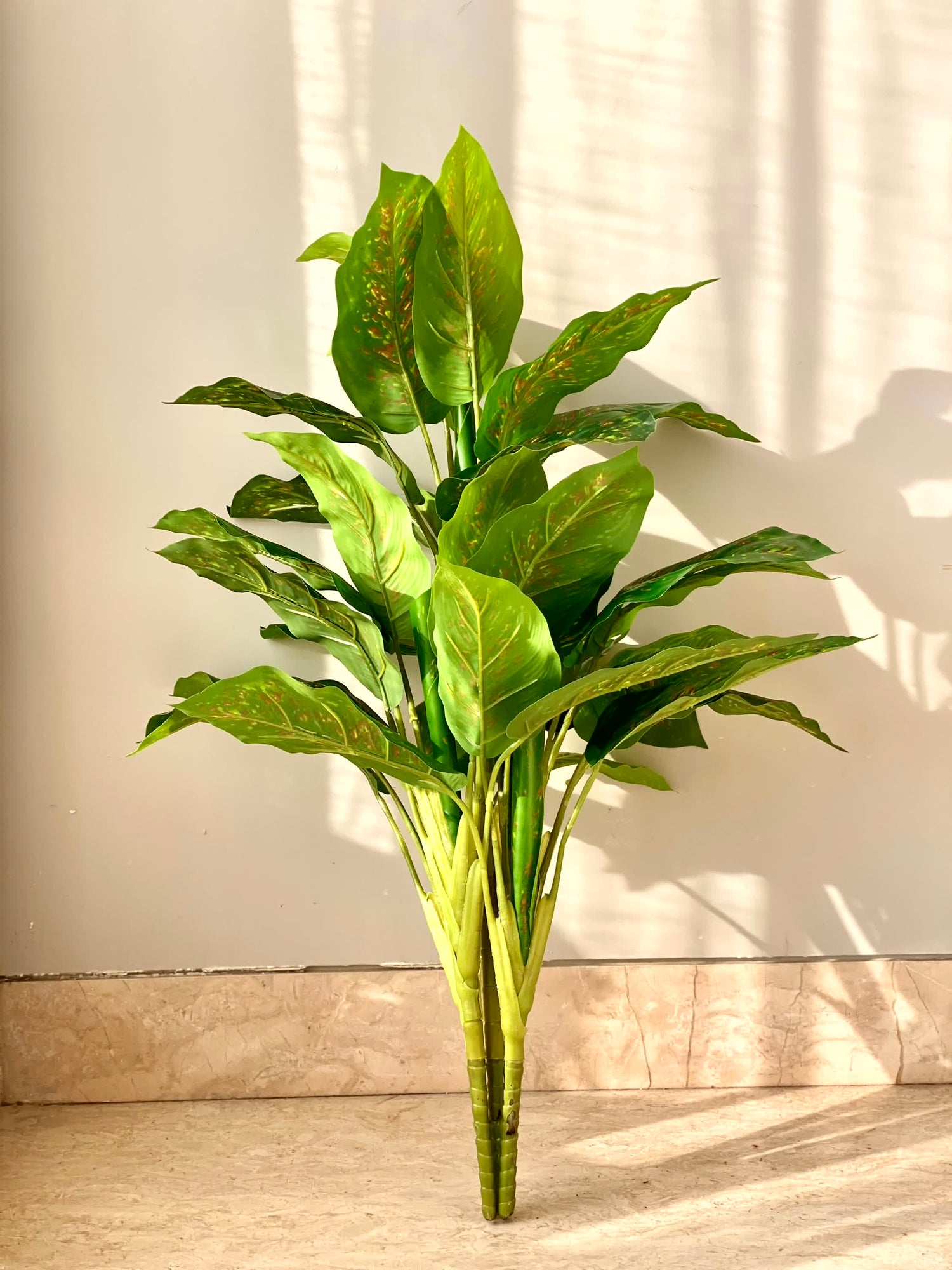 Artificial Alocasia Allure Plant