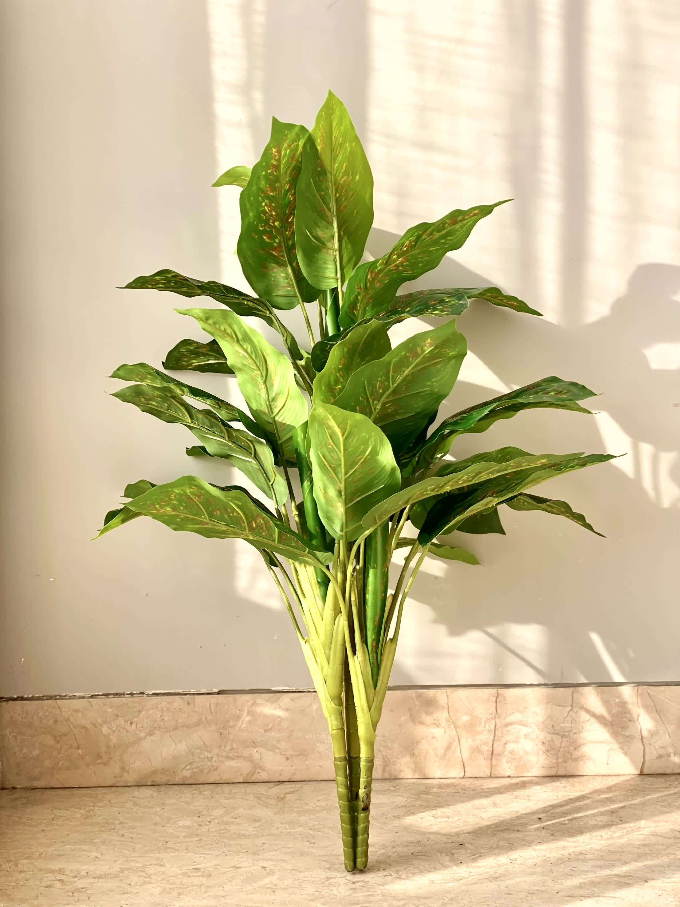 Artificial Alocasia Allure Plant