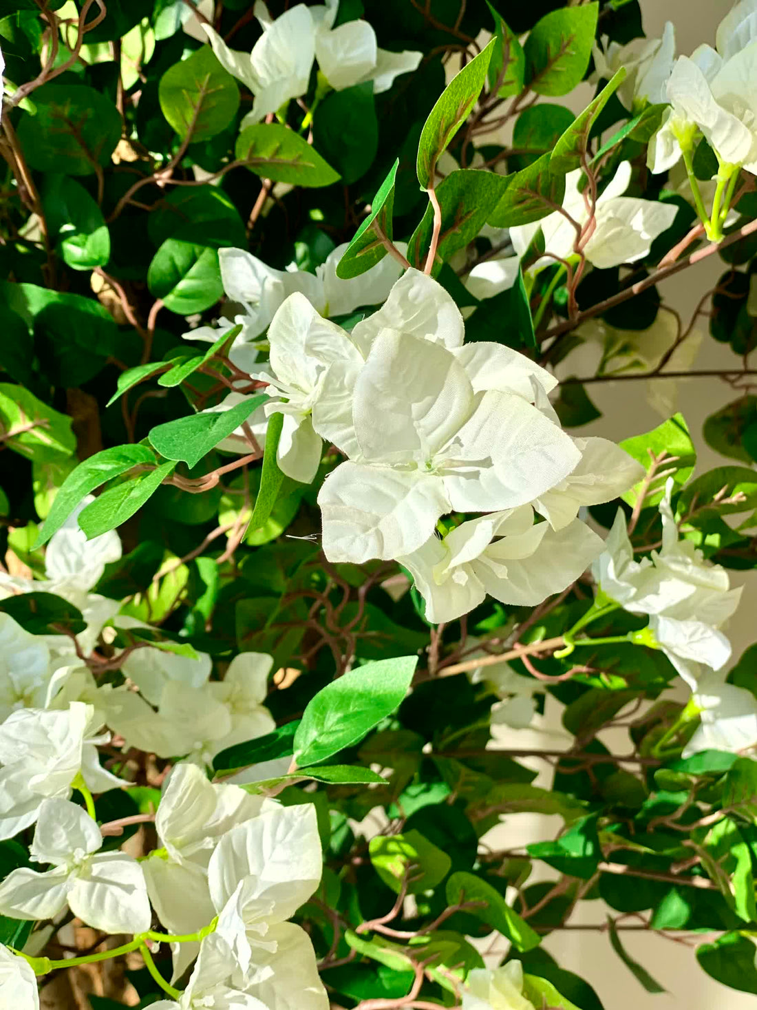 Artificial Regal White Bougainvillea Plant - 5 Feet