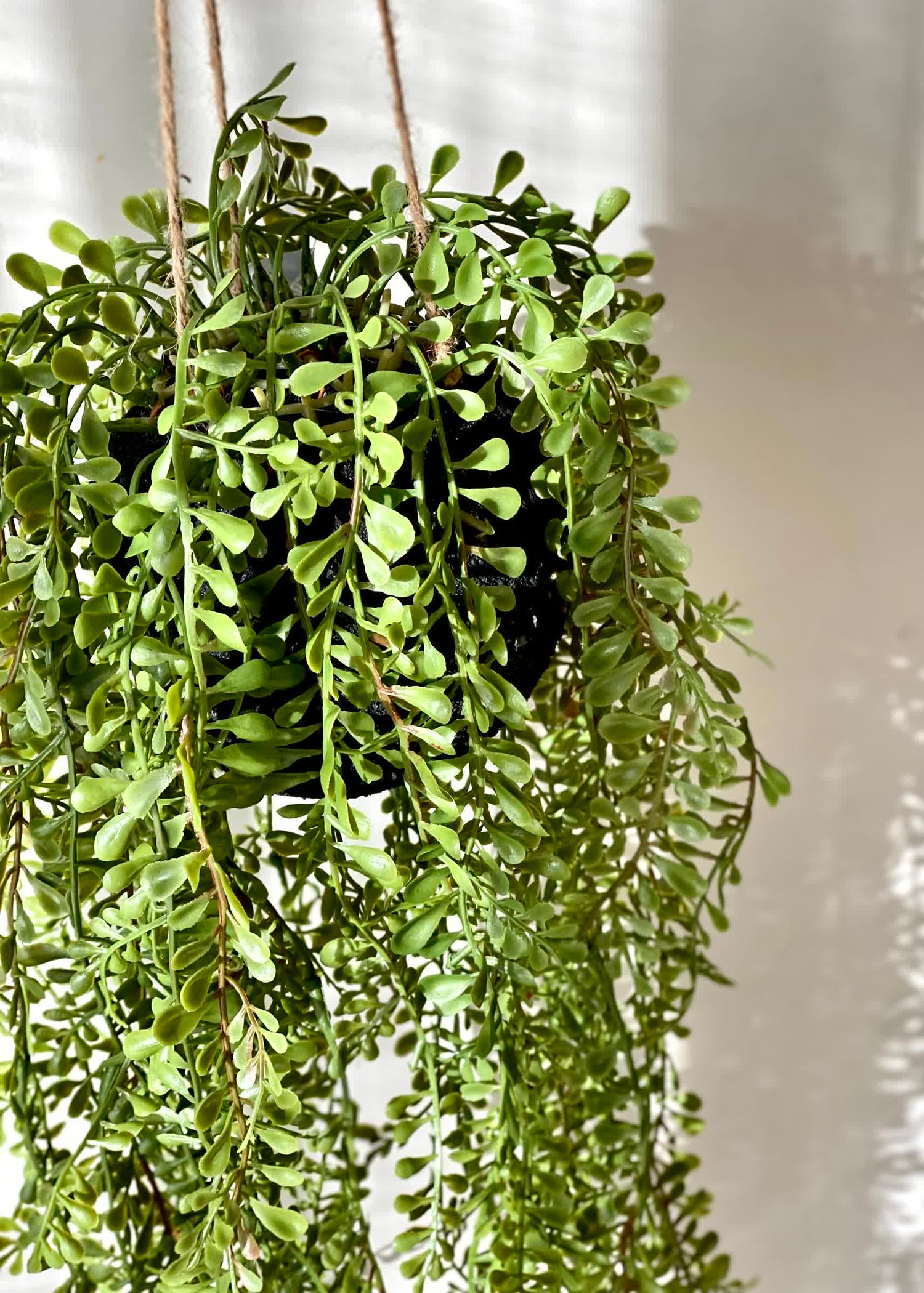 Artificial Draping Vine - 2.5 Feet