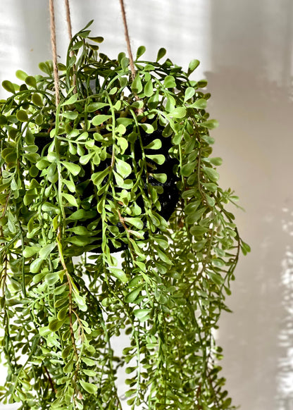 Artificial Draping Vine - 2.5 Feet