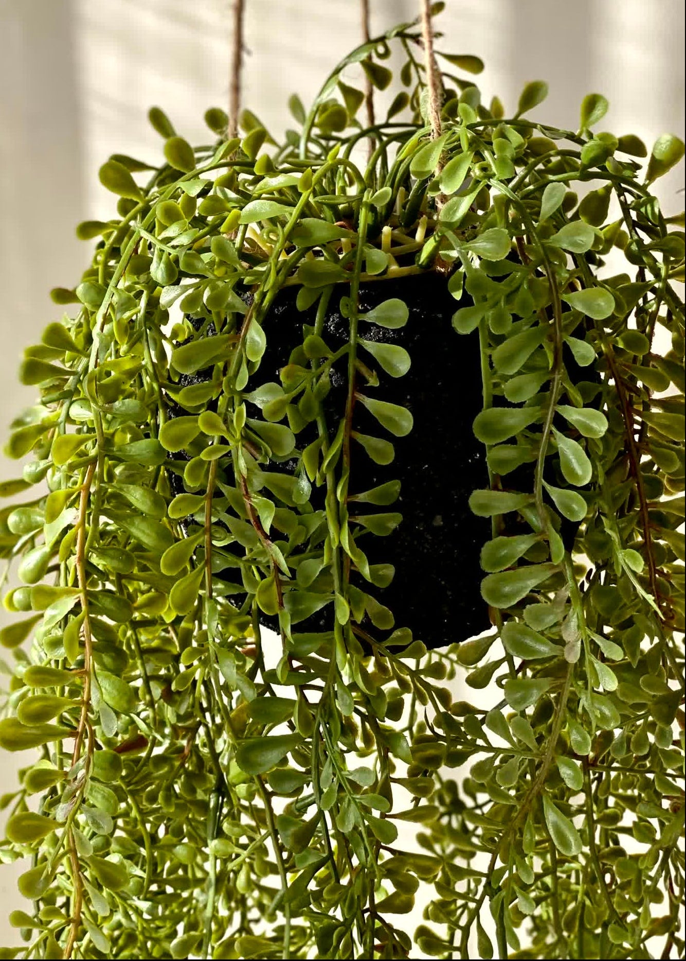 Artificial Draping Vine - 2.5 Feet
