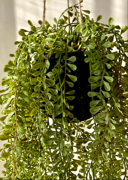 Artificial Draping Vine - 2.5 Feet