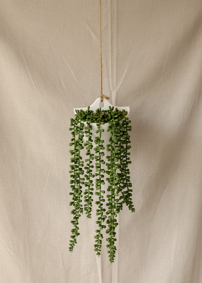 Artificial Hanging Creeper - Wall Mounted