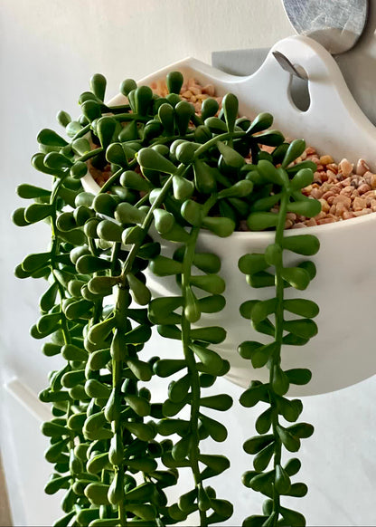 Artificial Hanging Creeper - Wall Mounted