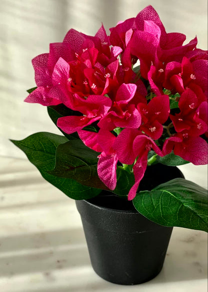 Artificial Pink Bougainvillea Plant