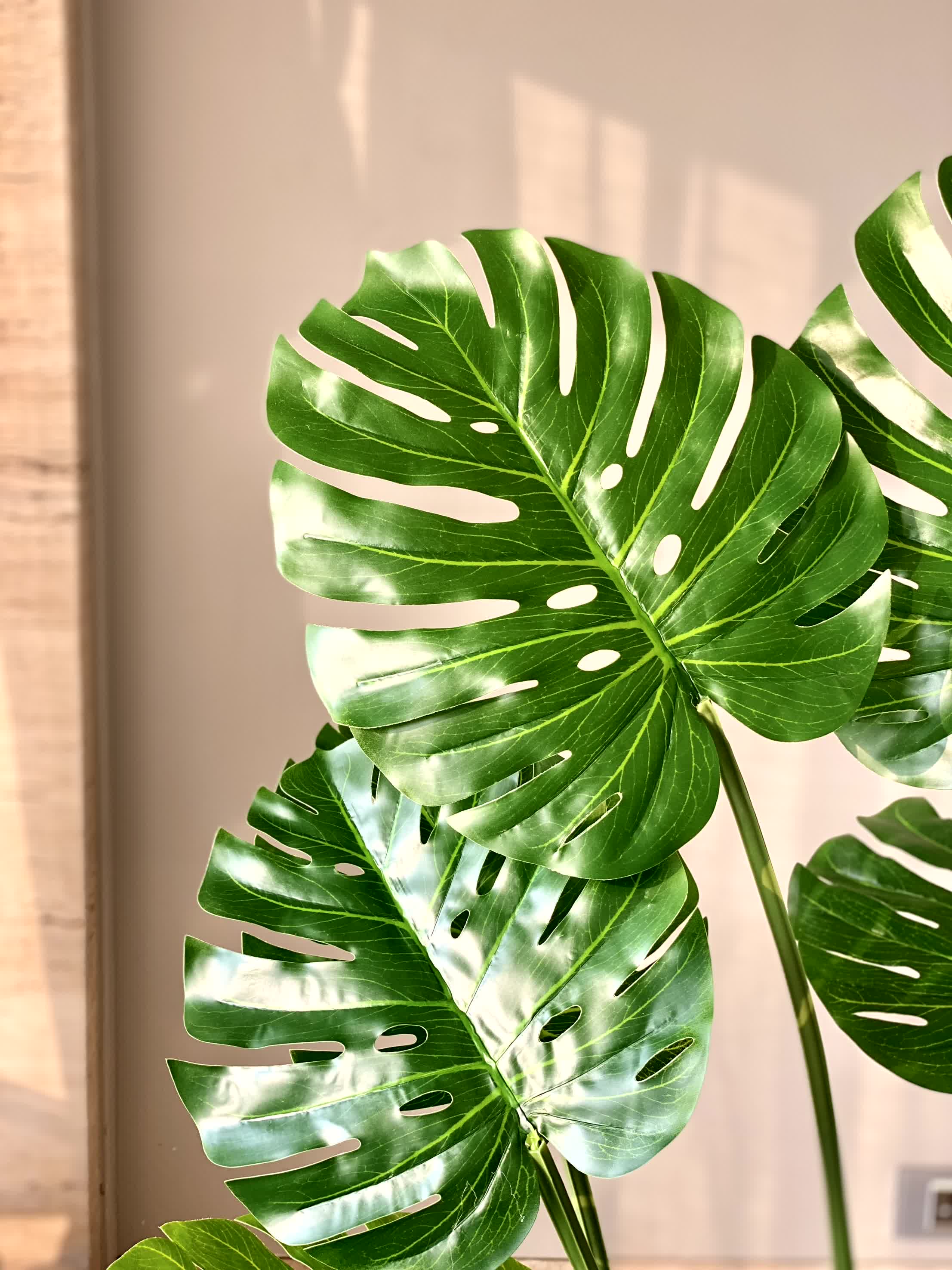 Artificial Monstera Plant - 4 Feet