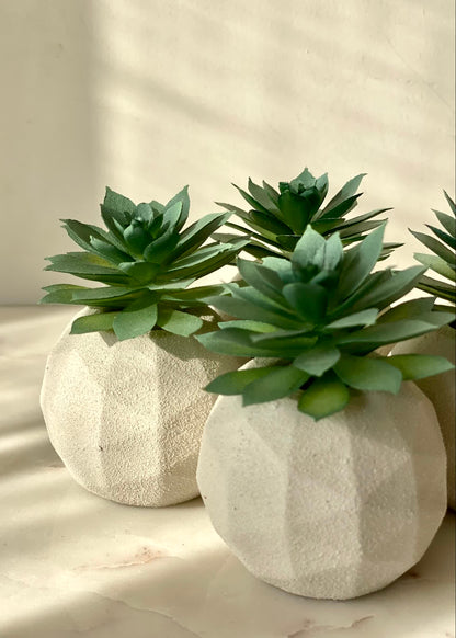 Artificial Beige &amp; Grey Duo Succulent - Set of 4