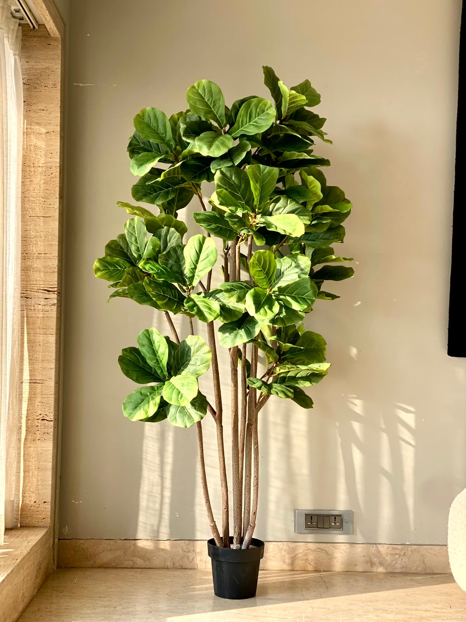 Artificial Fiddle Leaf Fig Plant - 6 Feet