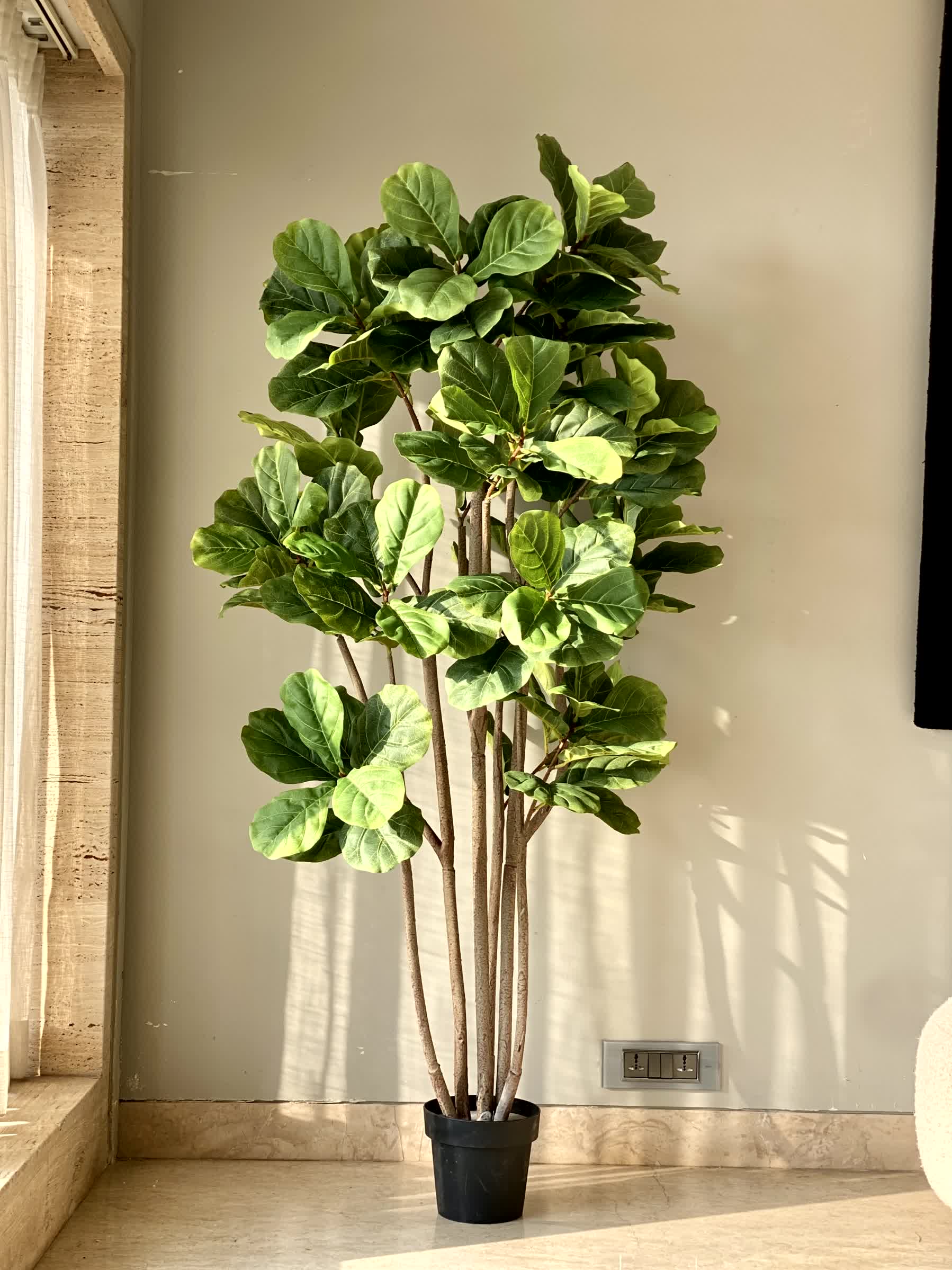 Artificial Fiddle Leaf Fig Plant - 6 Feet