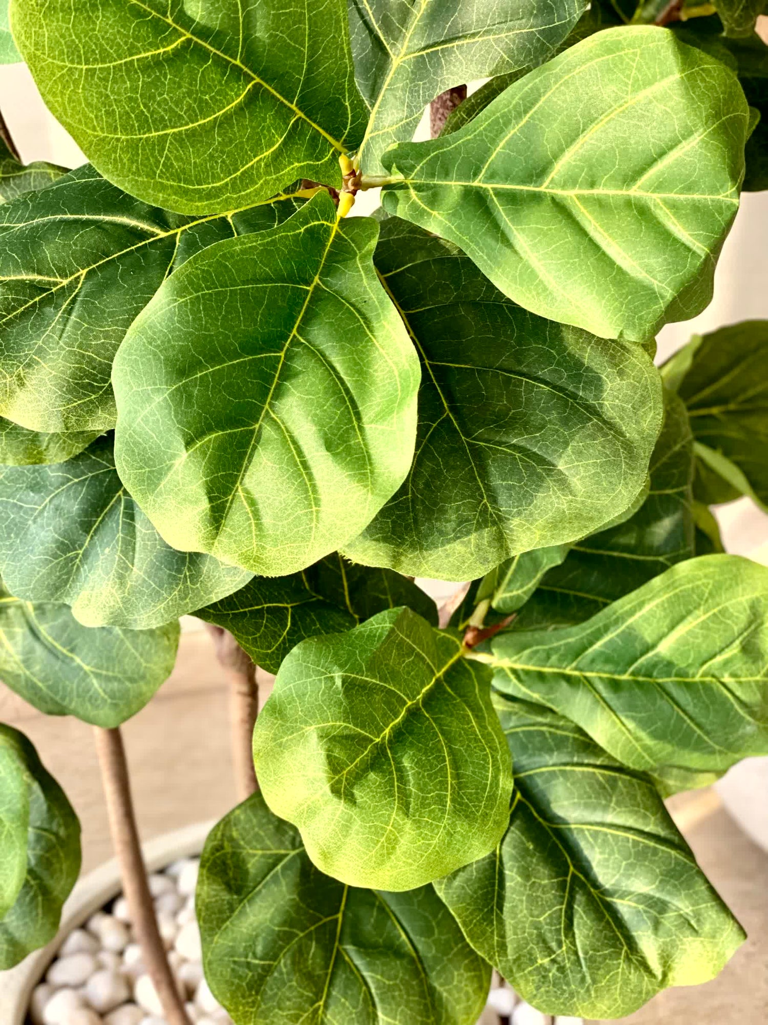 Artificial Fiddle Leaf Fig Plant - 6 Feet