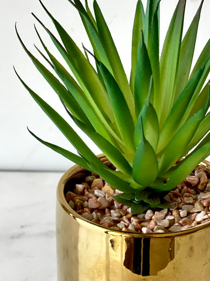 Artificial Spire Agave Plant with Gold Pot
