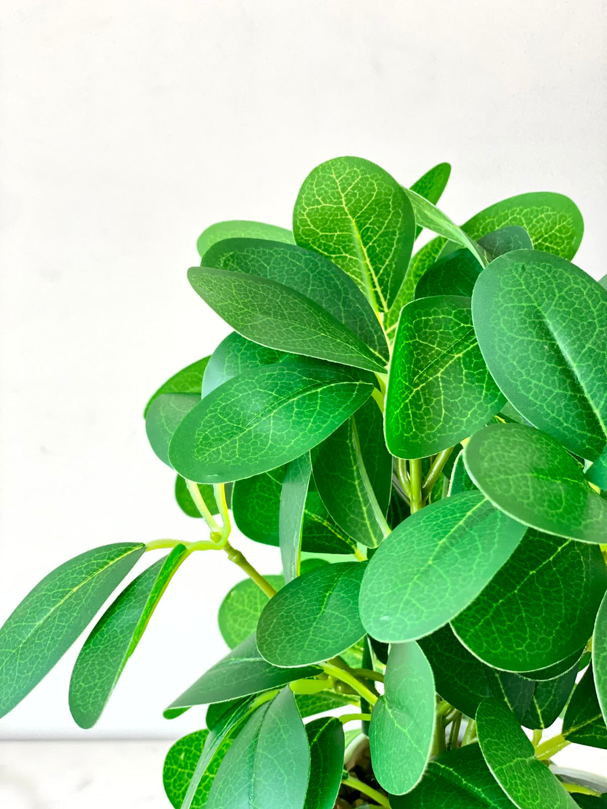 Artificial Jade Bloom Plant