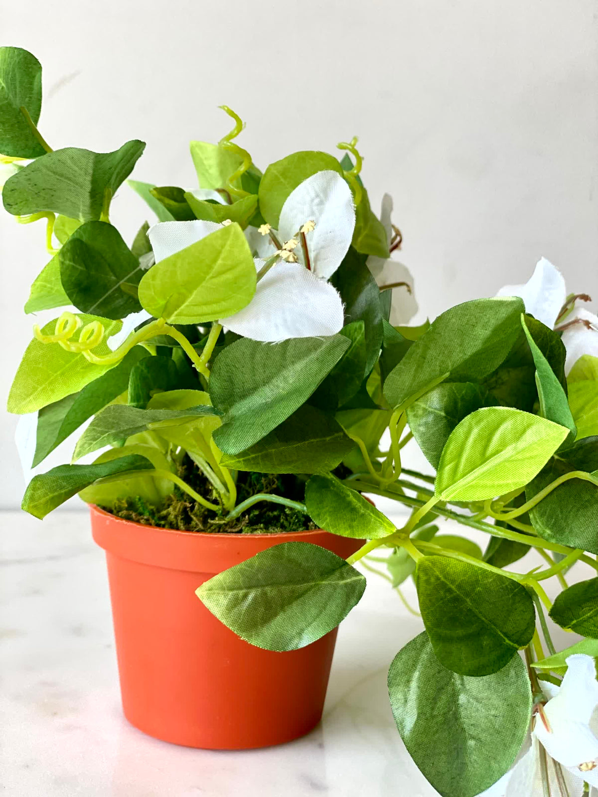 Artificial White Bougainvillea Vine Plant