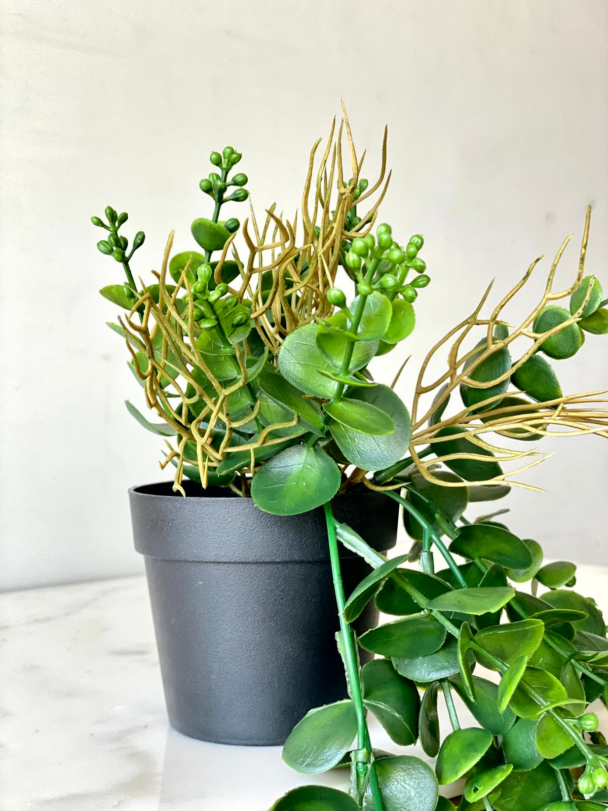 Artificial Cascading Eucalyptus Plant