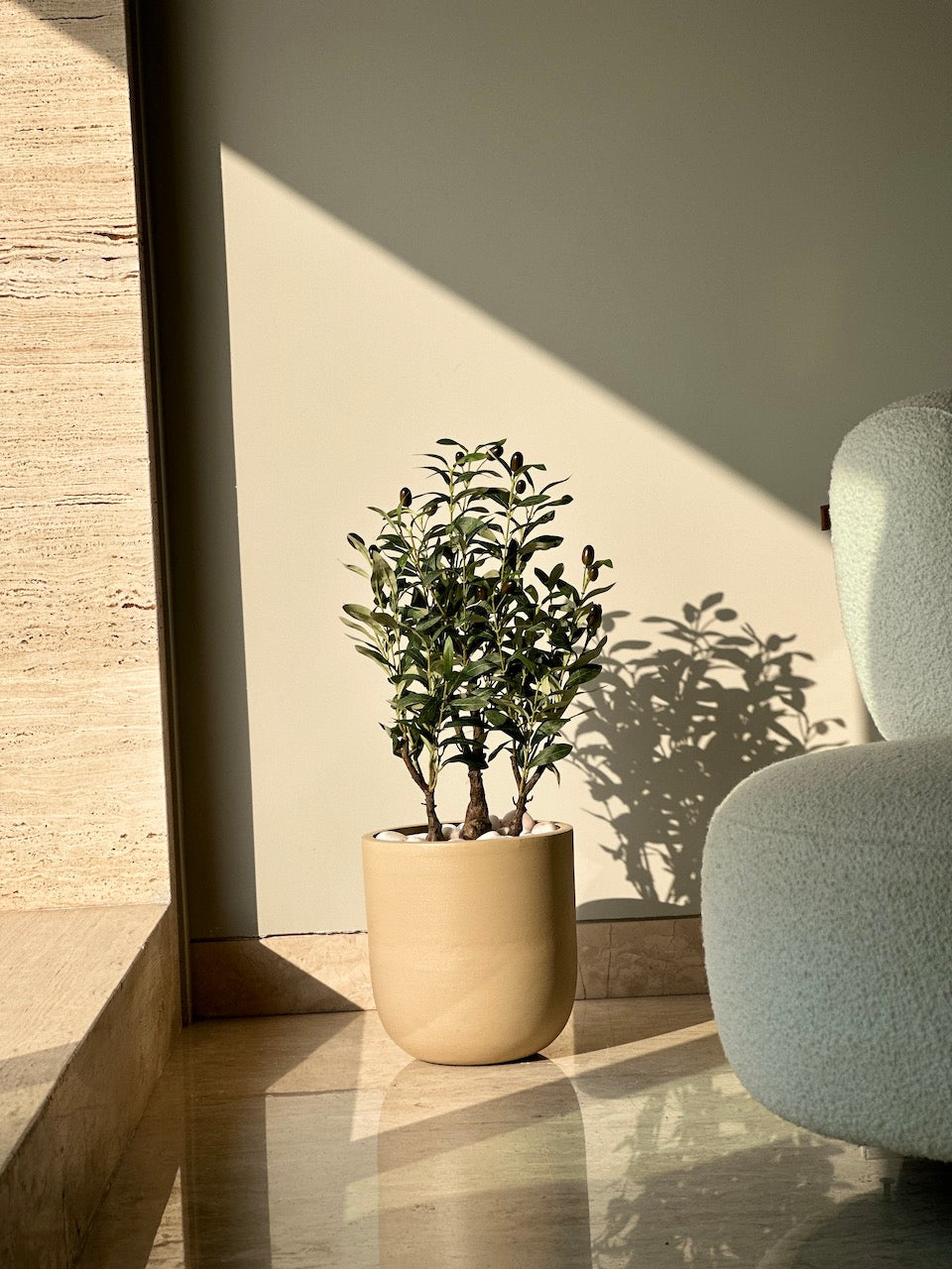 Artificial Olive Bonsai - 2 Feet