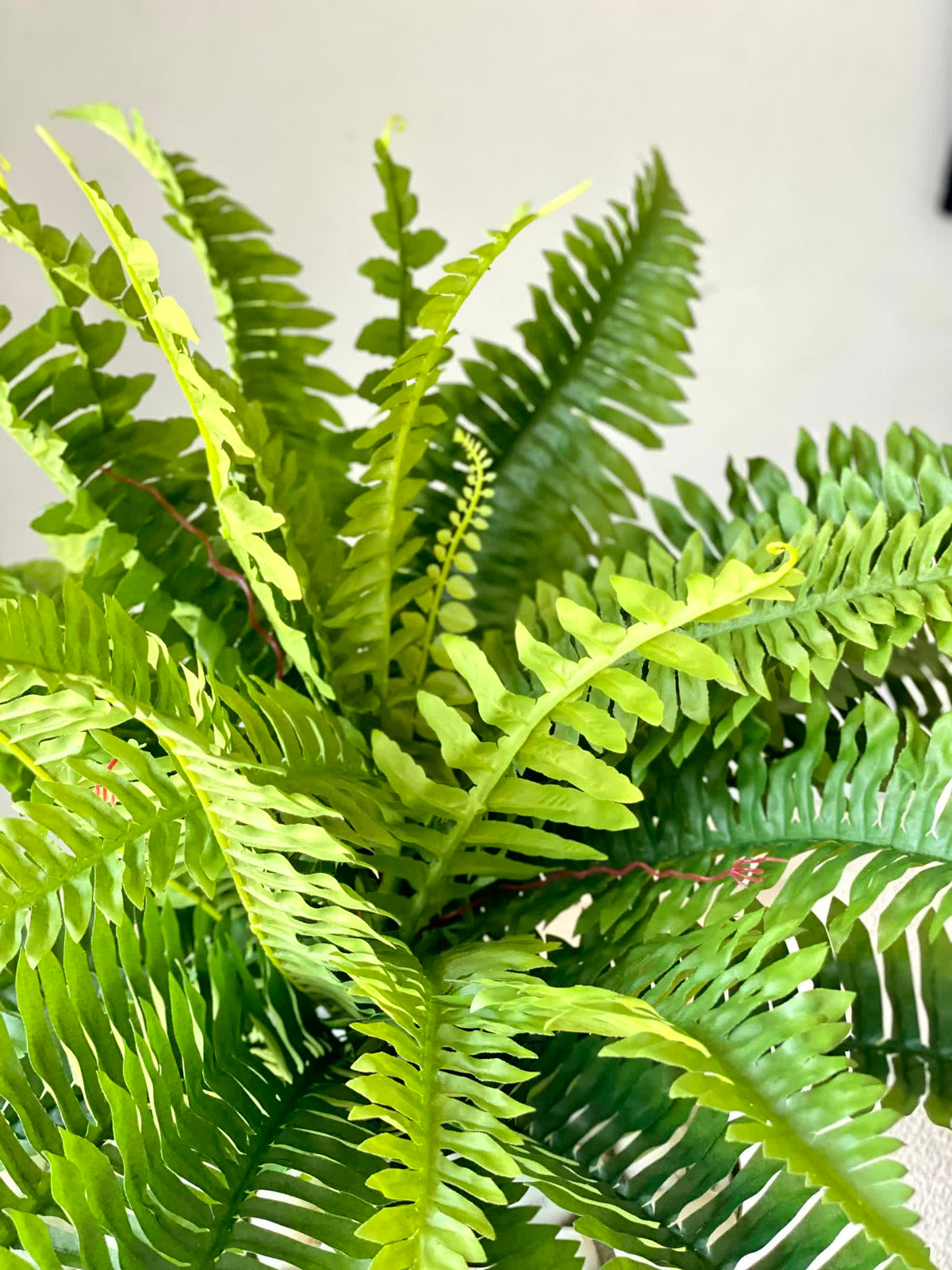 Artificial Sword Fern Plant - 1.8 Feet