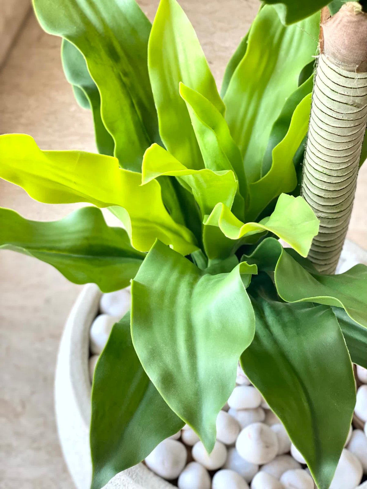 Artificial Twin Crown Dracaena Plant - 3.5 Feet