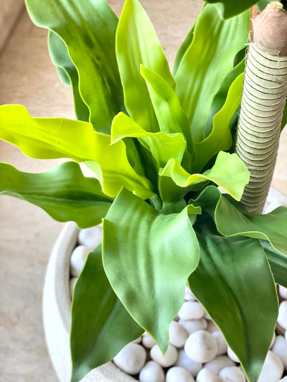 Artificial Twin Crown Dracaena Plant - 3.5 Feet