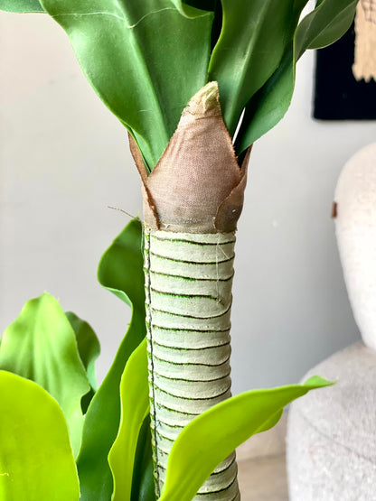 Artificial Twin Crown Dracaena Plant - 3.5 Feet