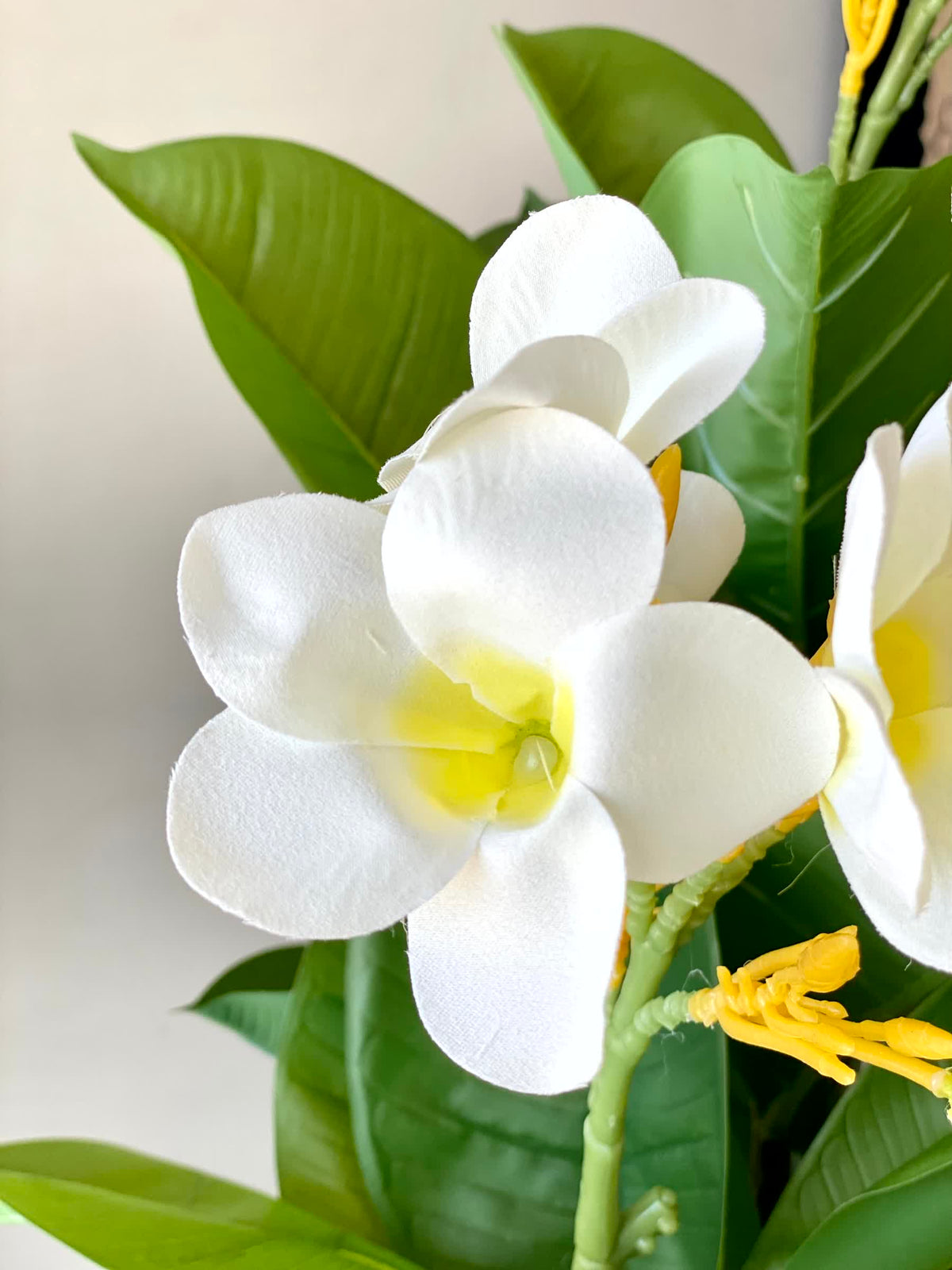 Artificial White Blossom Frangipani Plant - 5 Feet