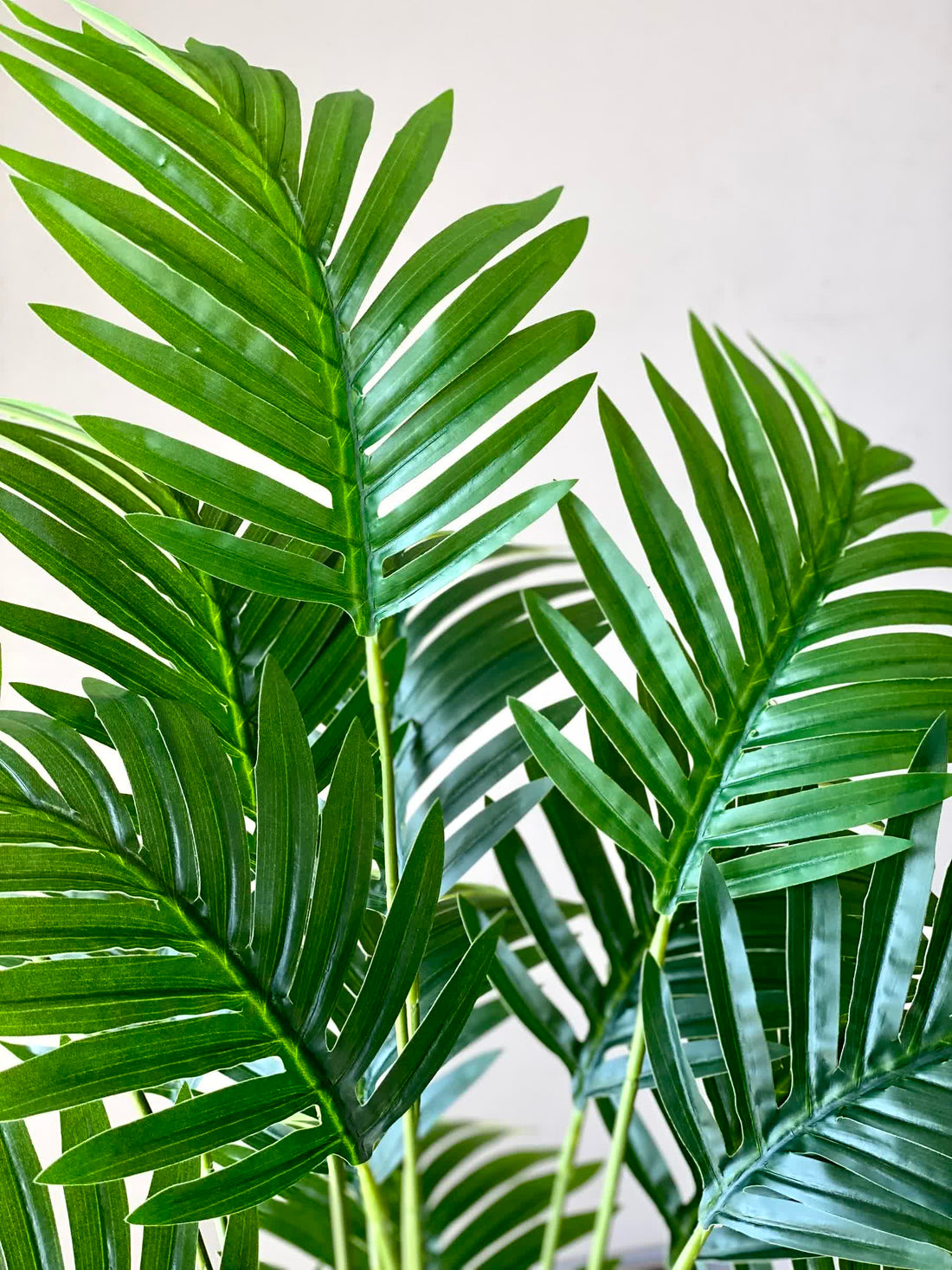 Artificial Tropical Areca Plant - 2 Feet