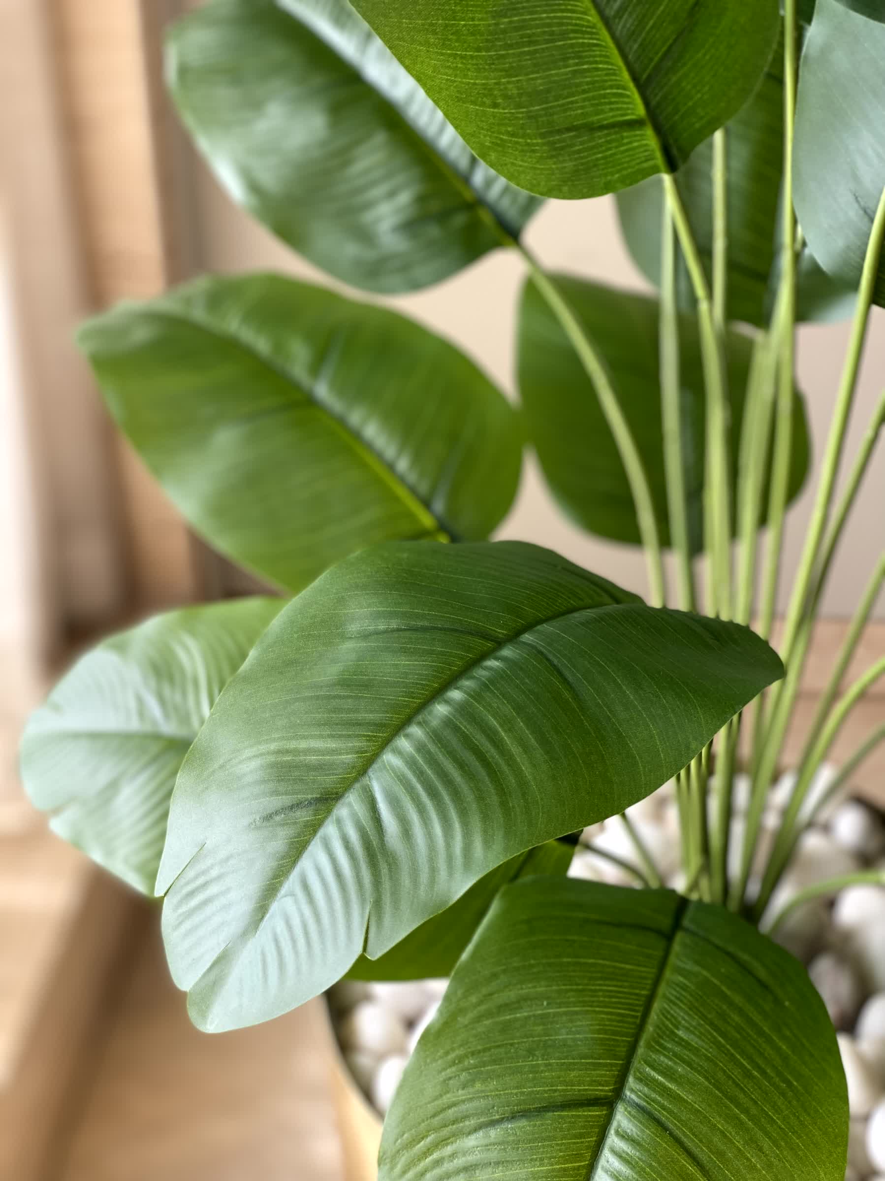 Artificial Nicolai Plant- 2 Feet