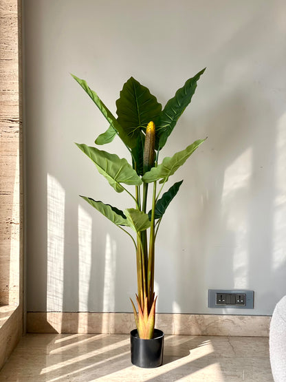 Artificial Alocasia Zebrina - 4 Feet