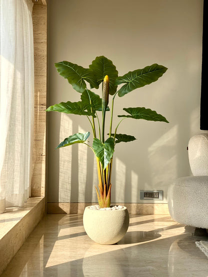 Artificial Alocasia Zebrina - 4 Feet