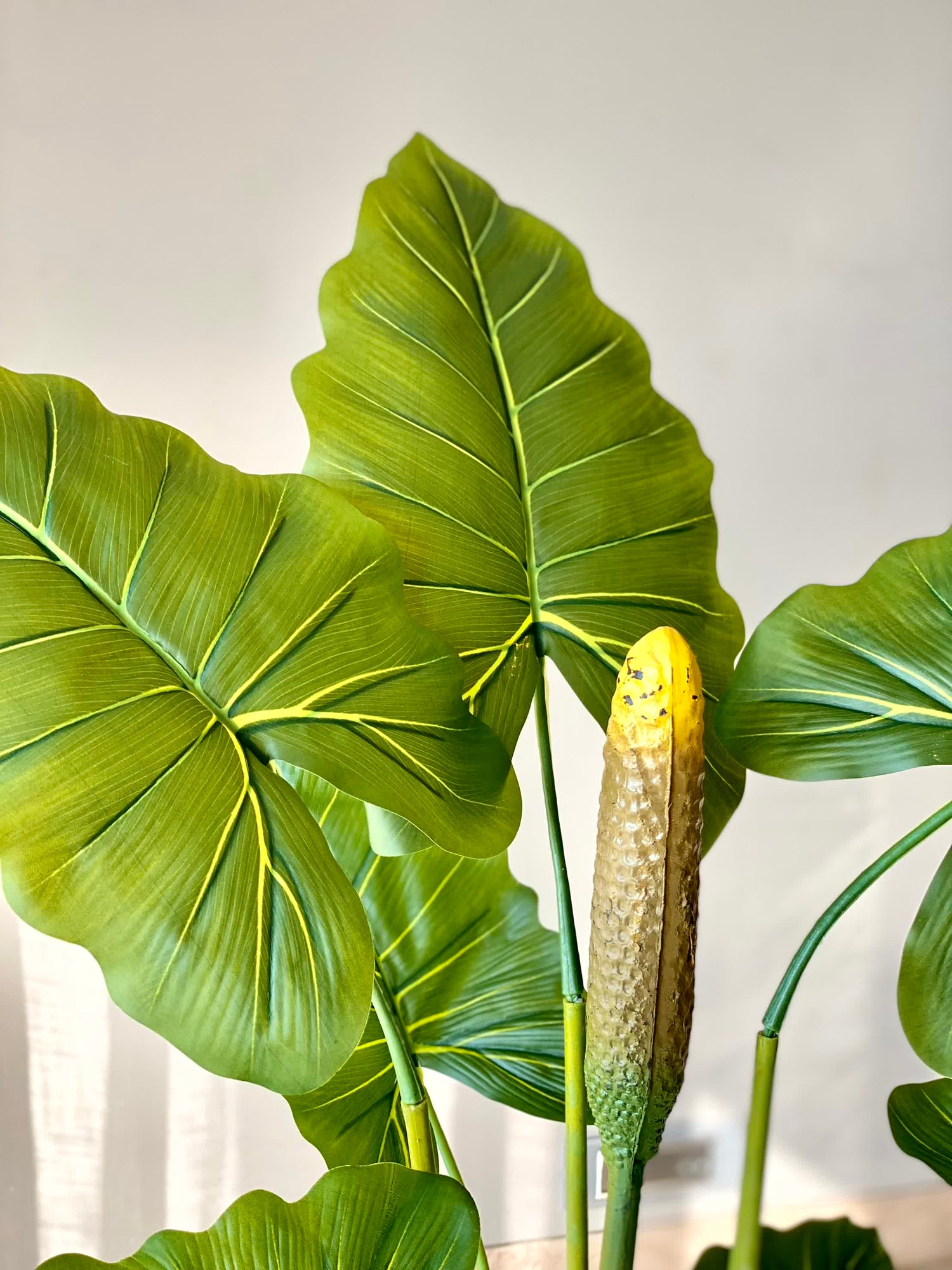 Artificial Alocasia Zebrina - 4 Feet