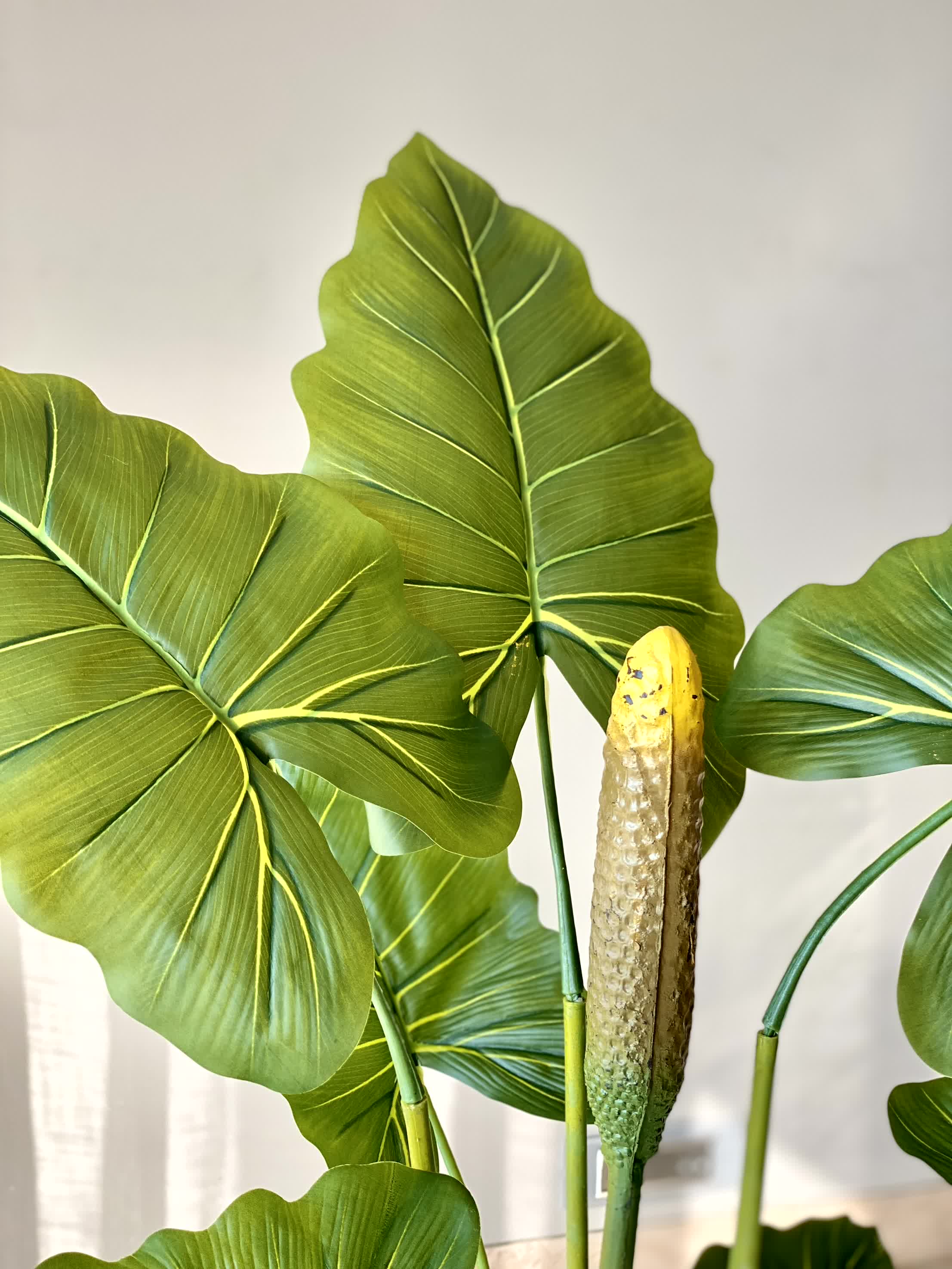 Artificial Alocasia Zebrina - 4 Feet