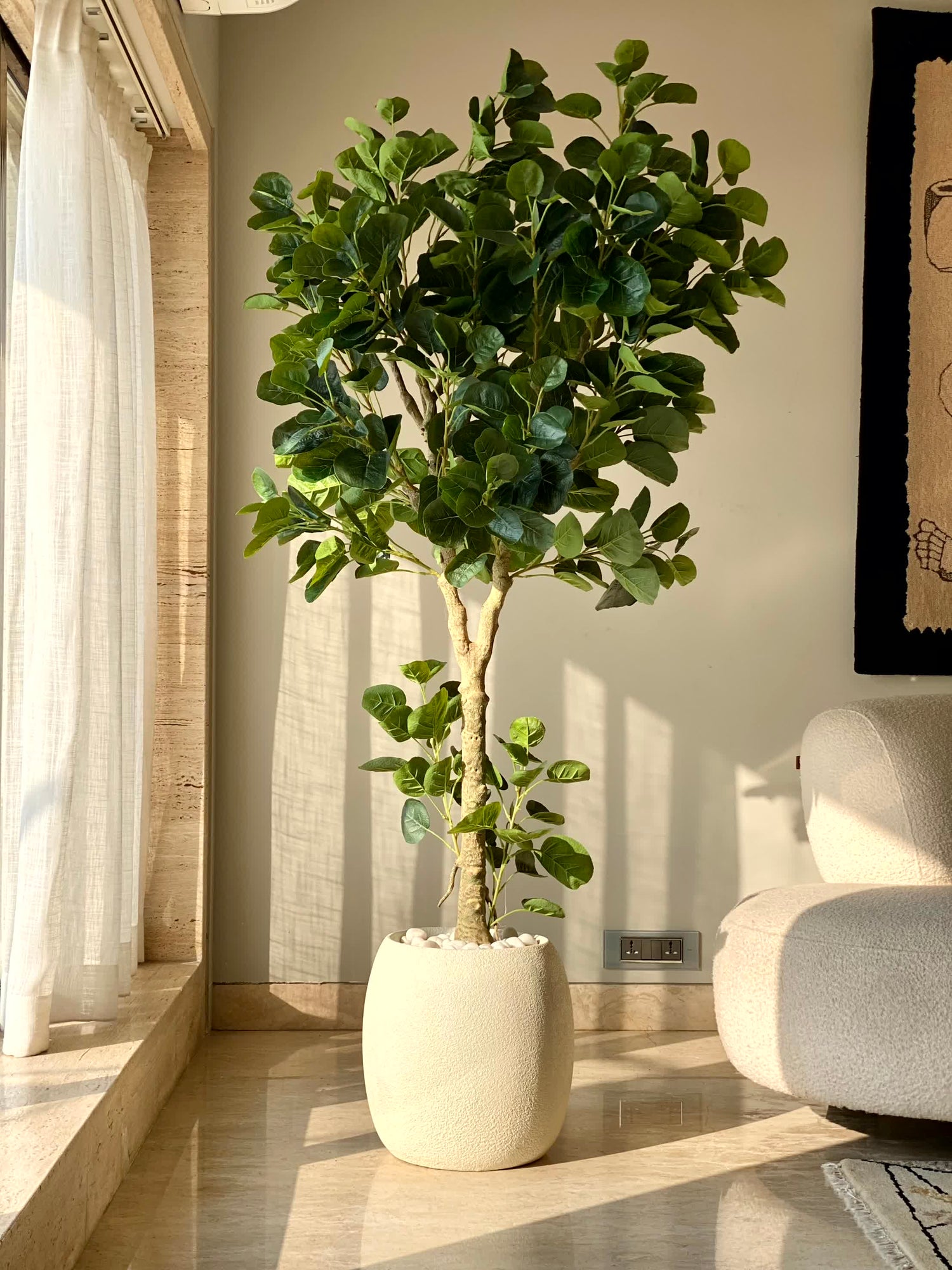 Artificial Fabled Ficus Plant - 5.5 Feet