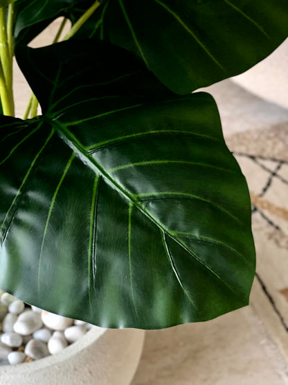 Artificial Alocasia Broad Leaf Plant - 4 Feet
