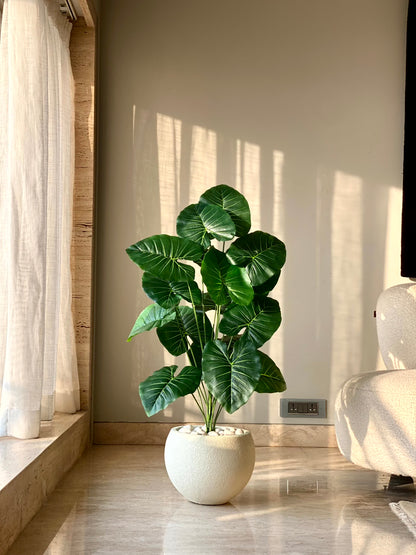 Artificial Midas Pothos Plant - 3 Feet