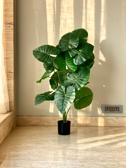 Artificial Midas Pothos Plant - 3 Feet