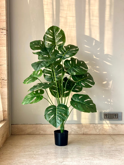 Artificial Midas Monstera Plant - 3 Feet