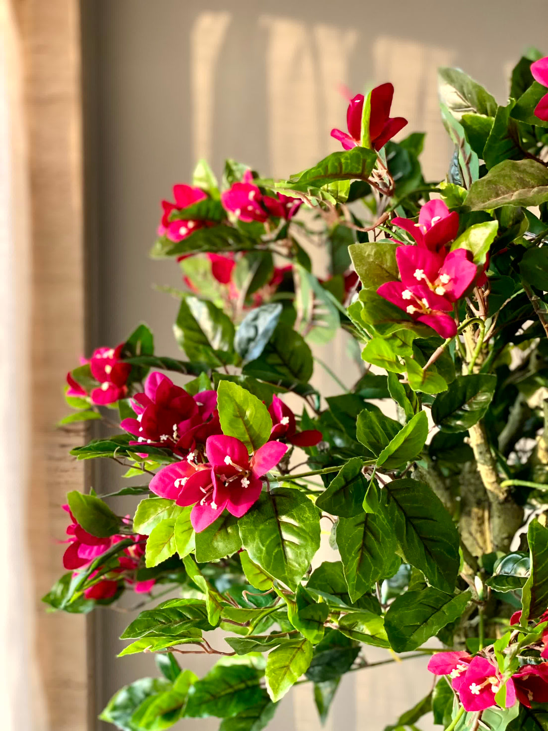 Artificial Fuchsia Bougainvillea Plant- 5 Feet